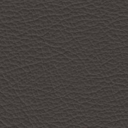 2023 Upholstery Leather Hide - 100 Browny Beige