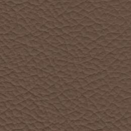2023 Upholstery Leather Hide - 104 Walnut Pebble