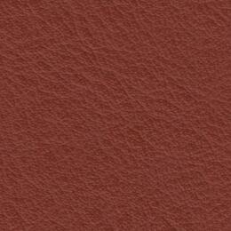 2023 Upholstery Leather Hide - 108 Rust