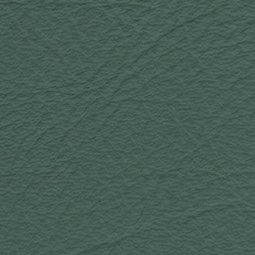 2023 Upholstery Leather Hide - 25 Fine Pebble Green
