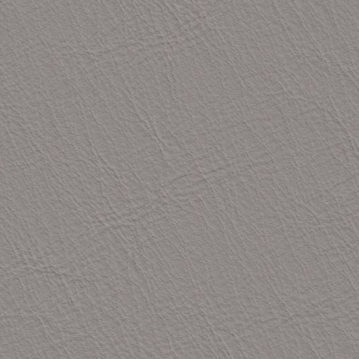 2023 Upholstery Leather Hide - 61 Smooth Silver Grey