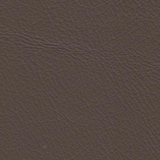 2023 Upholstery Leather Hide - 73 Smooth Beige Gloss