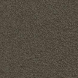 2023 Upholstery Leather Hide - 99 Greeny Beige