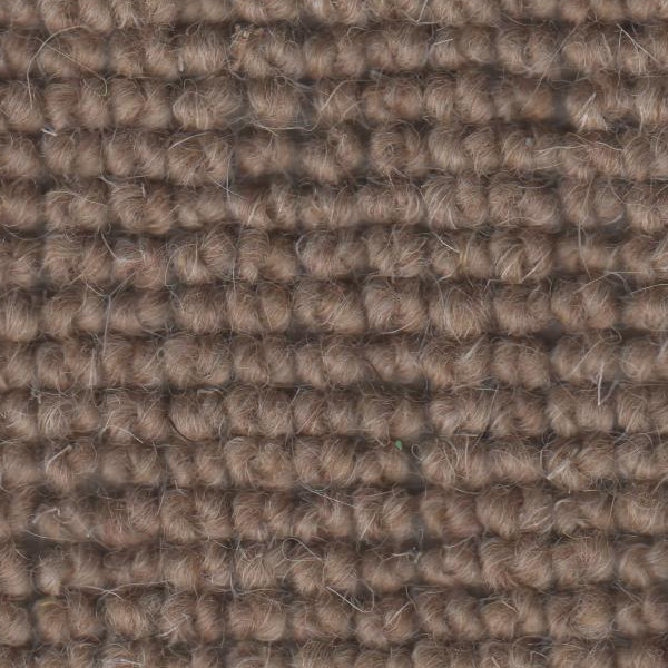 Boxweave Carpet - Biscuit