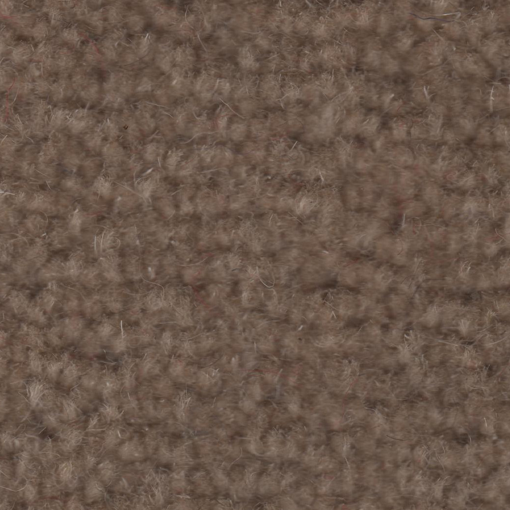 Wilton Wool Carpet - Biscuit