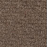 Wool Wilton Carpet - Biscuit