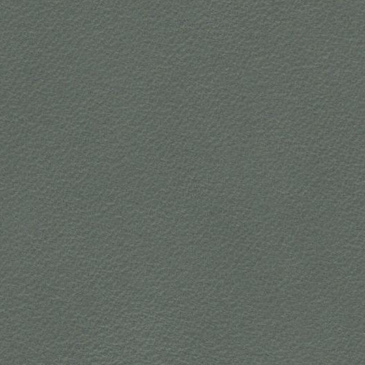 2023 Upholstery Leather Hide - #01 Matt Finish Mint