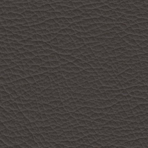 2023 Upholstery Leather Hide - #100 Browny Beige