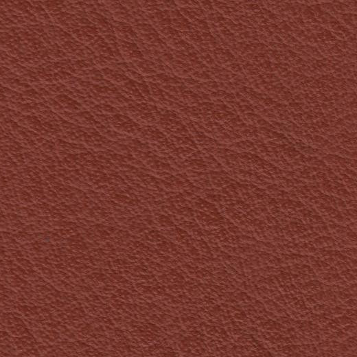 2023 Upholstery Leather Hide - #108 Rust
