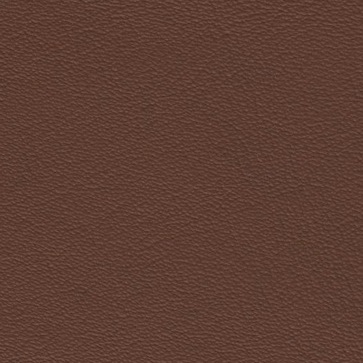 2023 Upholstery Leather Hide - #109 Mid Tan