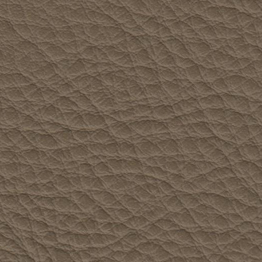 2023 Upholstery Leather Hide - #118 Barley Beige Pebble
