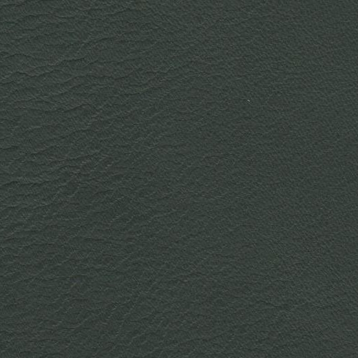 2023 Upholstery Leather Hide - #16 Glossy Green