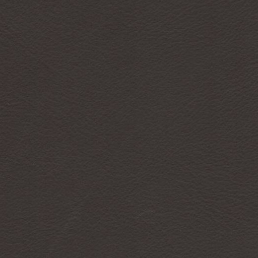 2023 Upholstery Leather Hide - #24 Smooth Brown