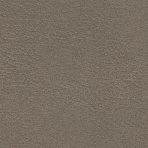 2023 Upholstery Leather Hide - #65 Smooth Beige