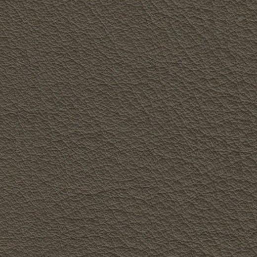 2023 Upholstery Leather Hide - #99 Greeny Beige