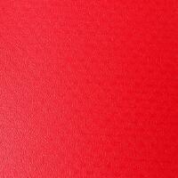 PVC Coated Nylon - Red