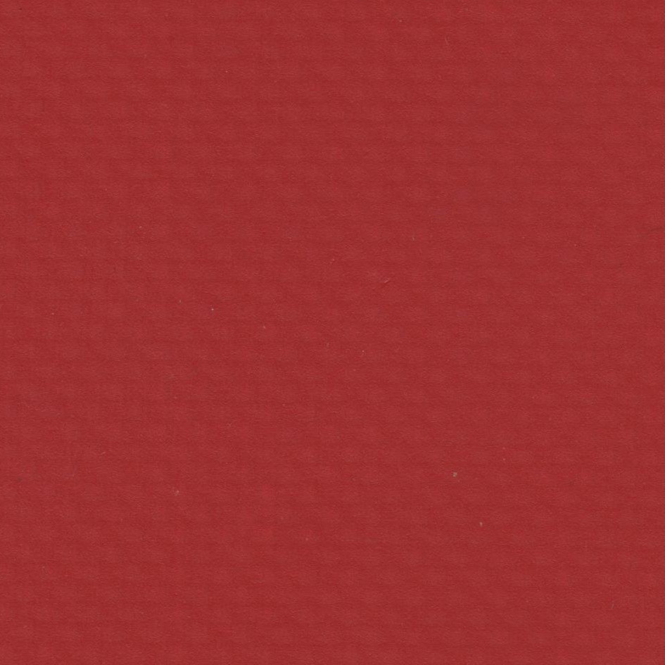 PVC Coated Nylon (Topspan) - Red