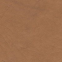 Clearance Leather Hide - Lux Fawn