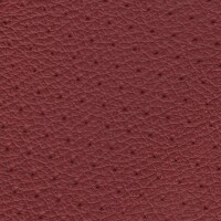 Clearance Leather Half Hide - Raspberry Perf