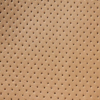 Leather Perforation